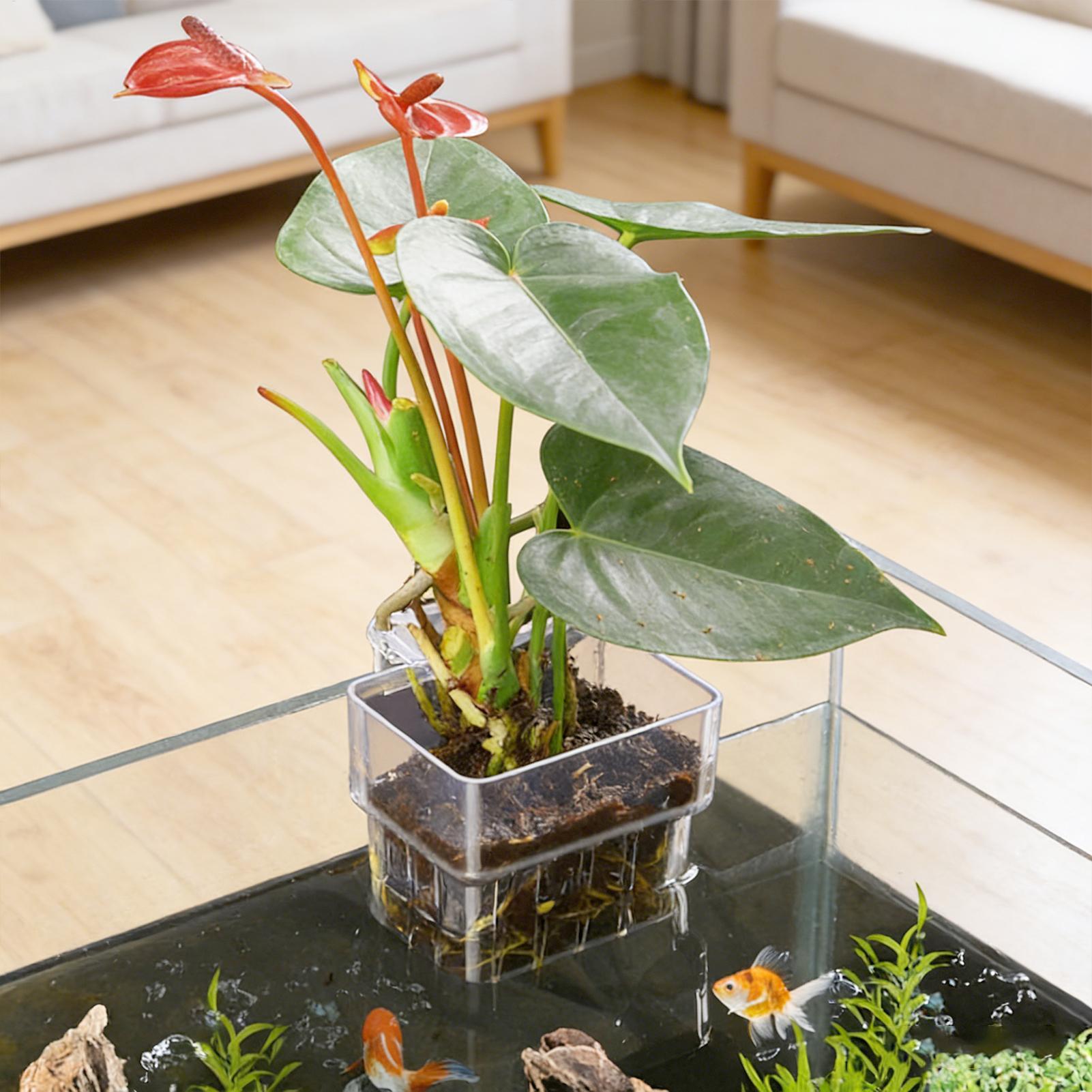 Plant Aquarium Pot - Akvaryum Bitki Sepeti Şeffaf Balık Tankı