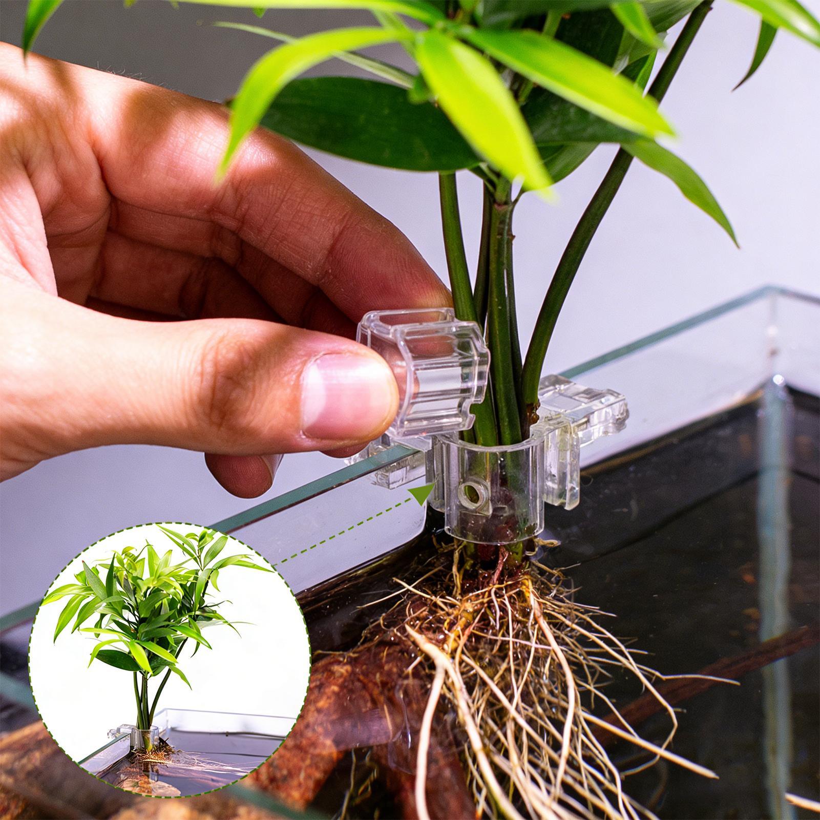 Aquarium Plants Live - 6 adet Akvaryum Bitki Tutucular Şeffaf