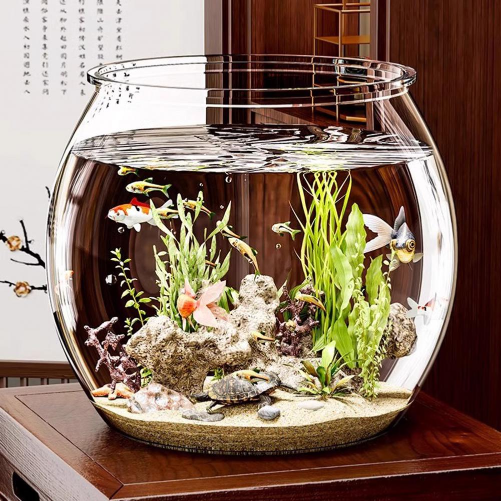 Plant Aquarium Pot - Şeffaf Plastik yuvarlak balık kasesi Akvaryum