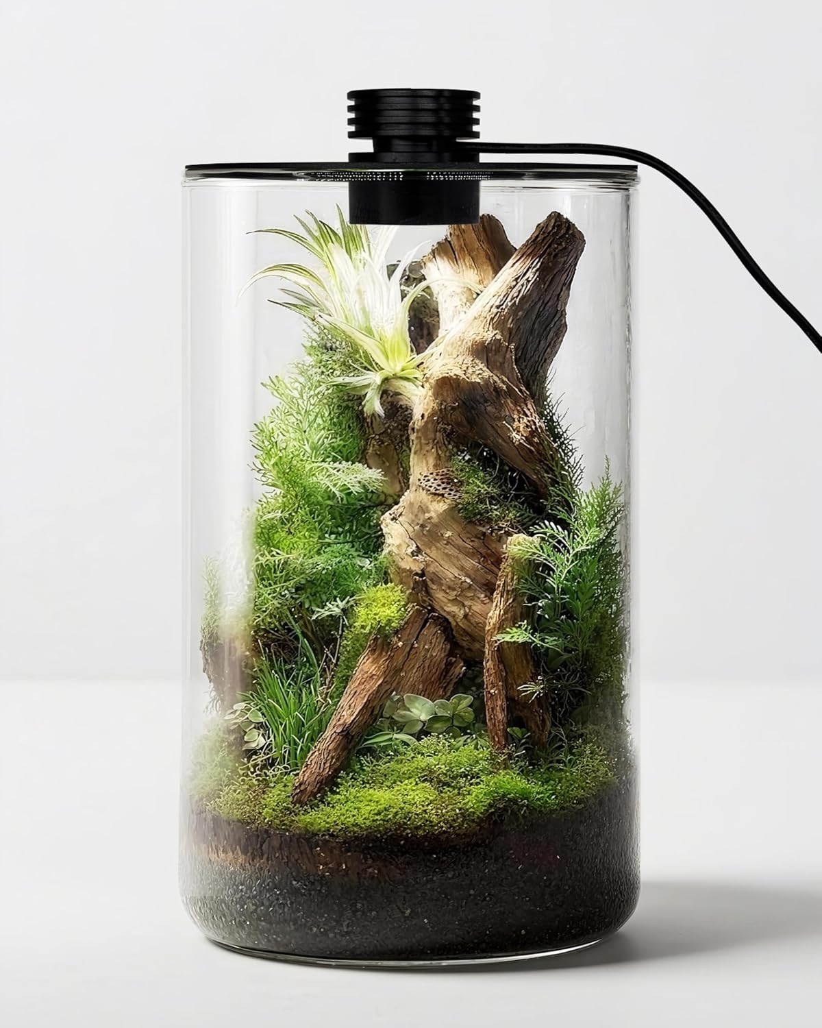 Planted Tank - İç Mekan Cam Teraryumu, Büyütme Lambasıyla,