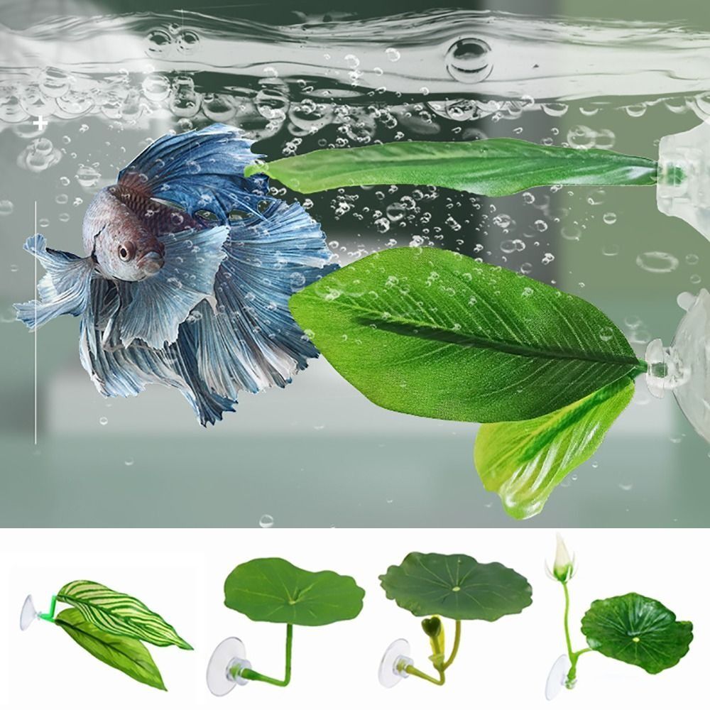 Plastik Betta Balığı Dinlenme  - Aquarium Plants Live incelemesi ve fiyatı