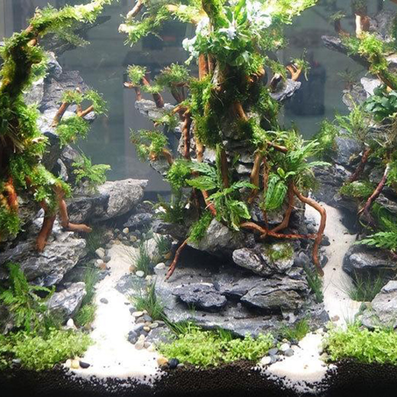 Akvaryum Mikro Peyzajı DIY Ev  - Aquarium Driftwood incelemesi ve fiyatı
