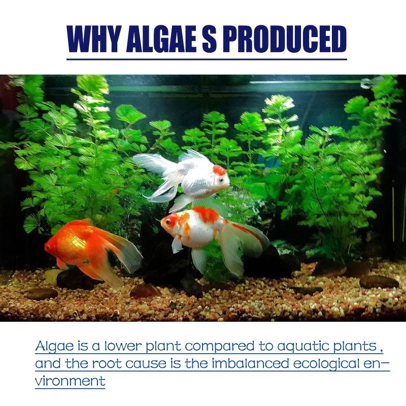 50g Yüksek Etkili Alg İlacı, A - Aquarium Moss incelemesi ve fiyatı