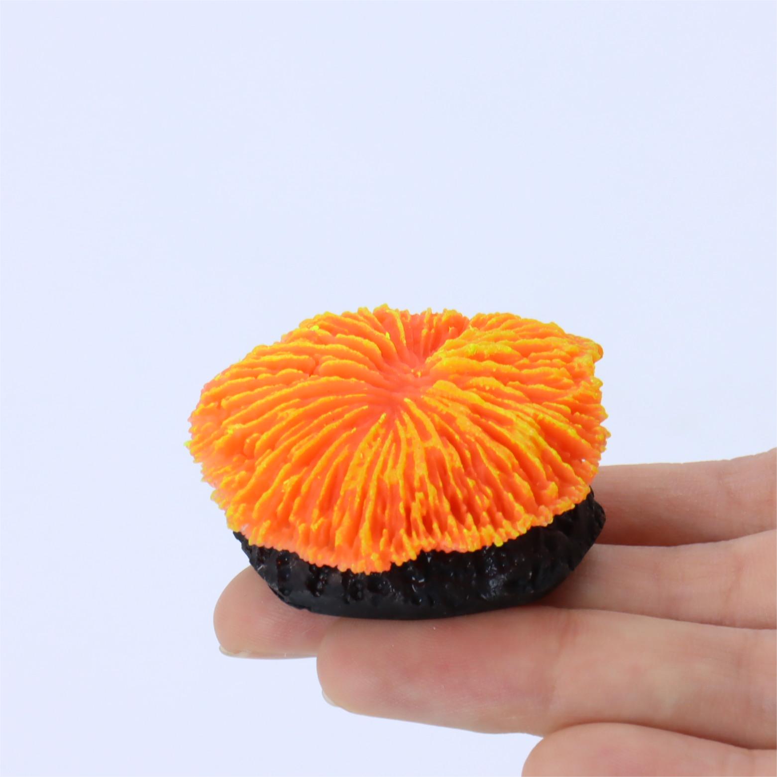 1 Adet Akvaryum Dekorasyonu Te - Live Plant Aquarium incelemesi ve fiyatı