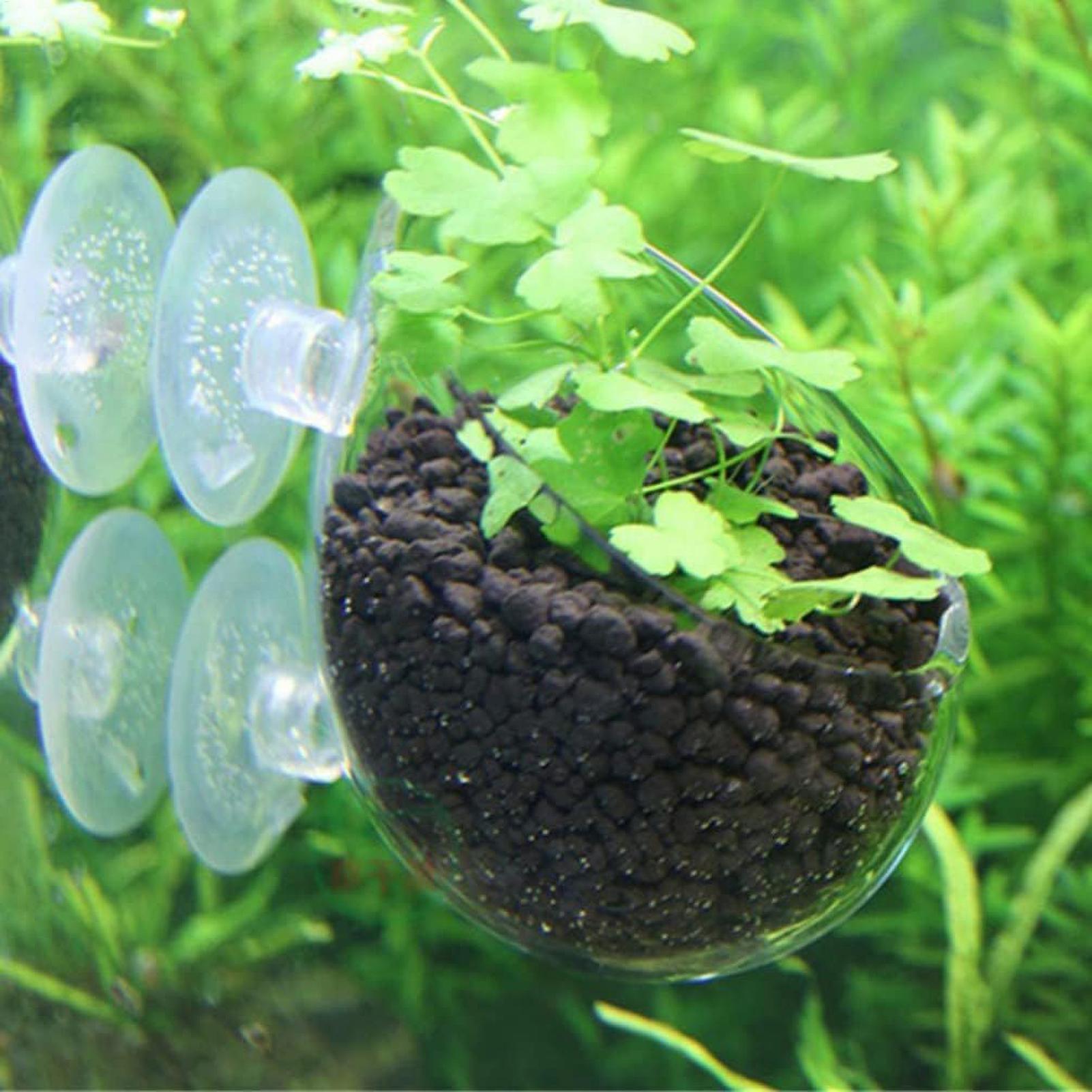 Akvaryum Bitki Tutucu Cam Su B - Live Plant Aquarium incelemesi ve fiyatı