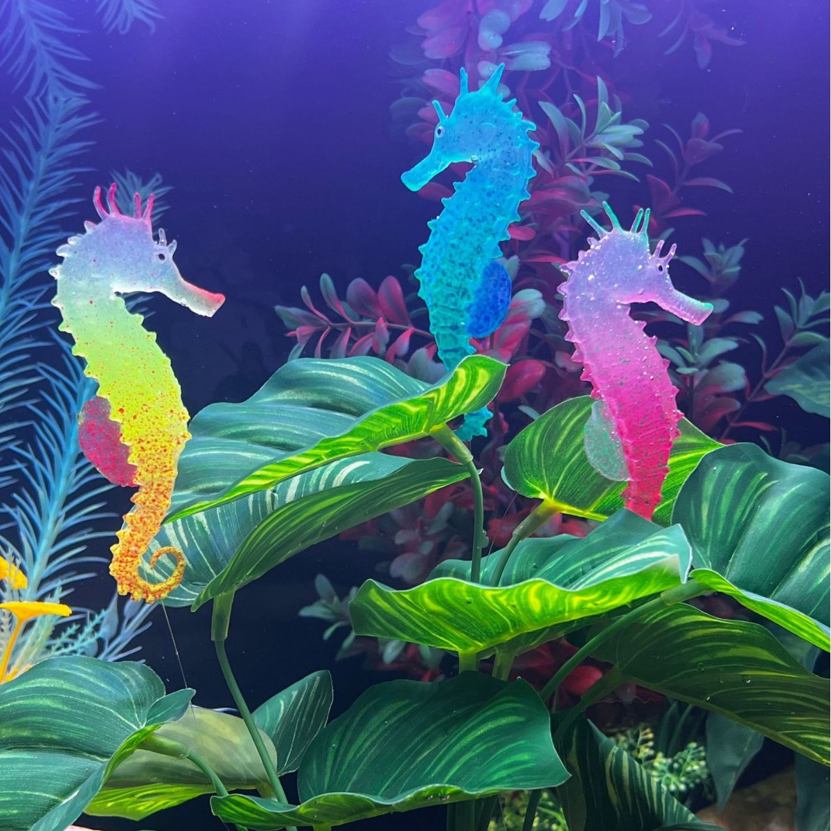 Simüle Edilmiş Işıklı Denizatı - Aquarium Plant Substrate incelemesi ve fiyatı
