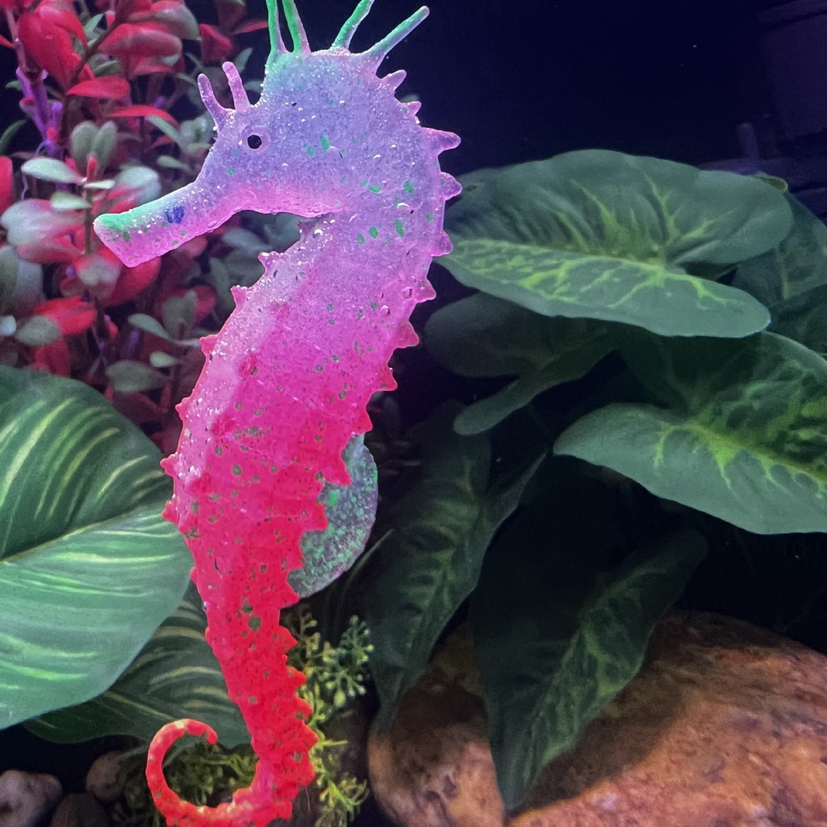Simüle Edilmiş Işıklı Denizatı - Aquarium Plant Substrate incelemesi ve fiyatı