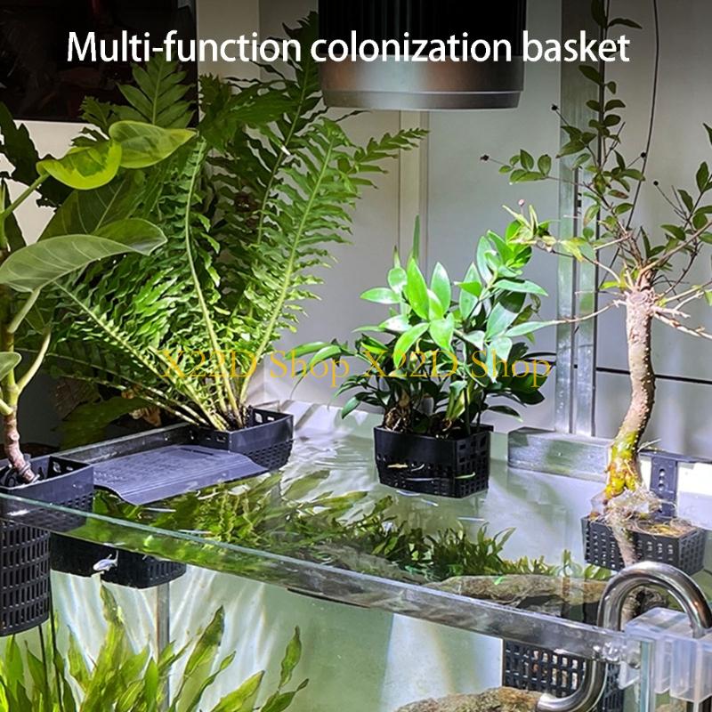 X22D Modern Antik Dikey Bitki  - Aquarium Plant Holder incelemesi ve fiyatı