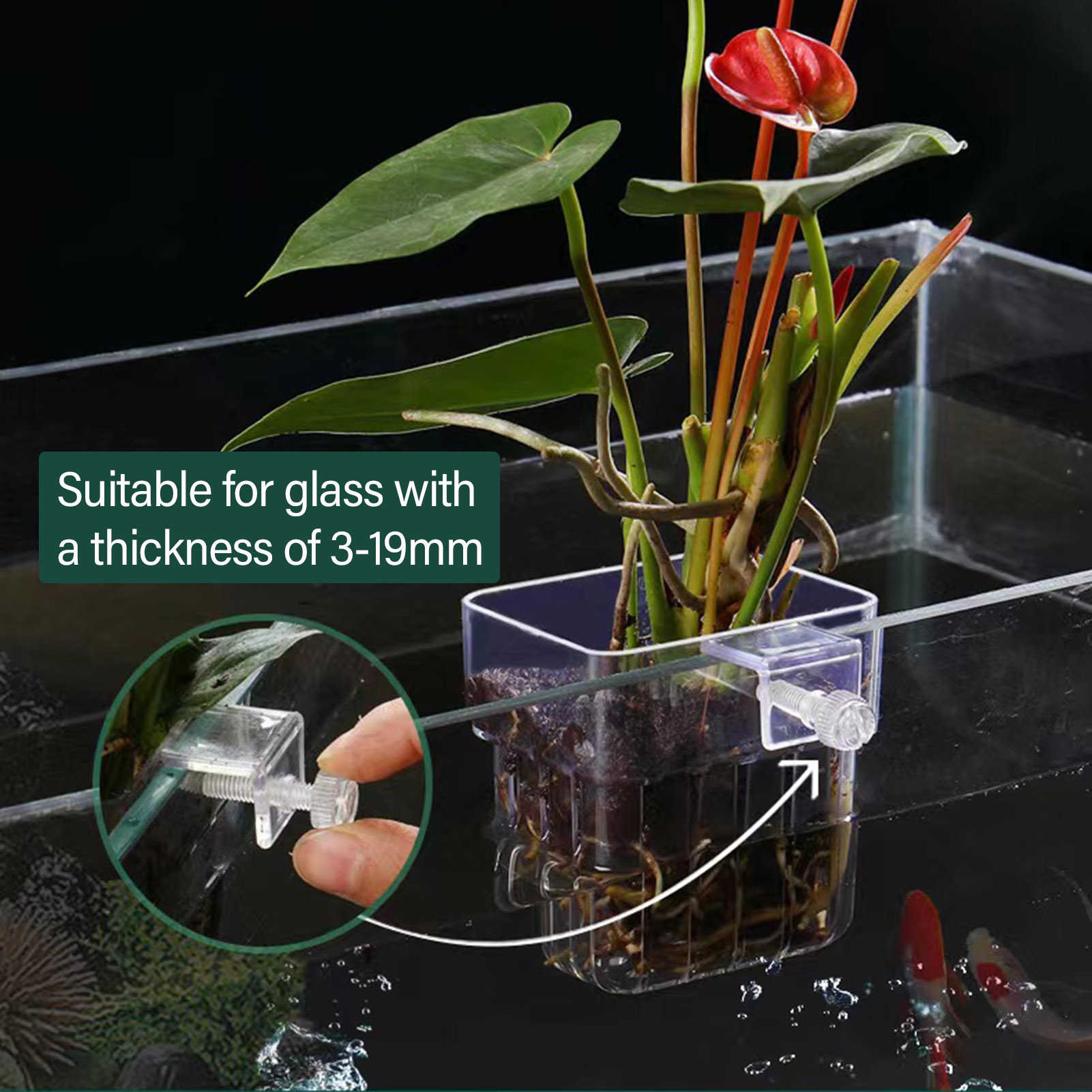 Şeffaf Akrilik Bitki Tutucu, B - Aquarium Plant Holder incelemesi ve fiyatı