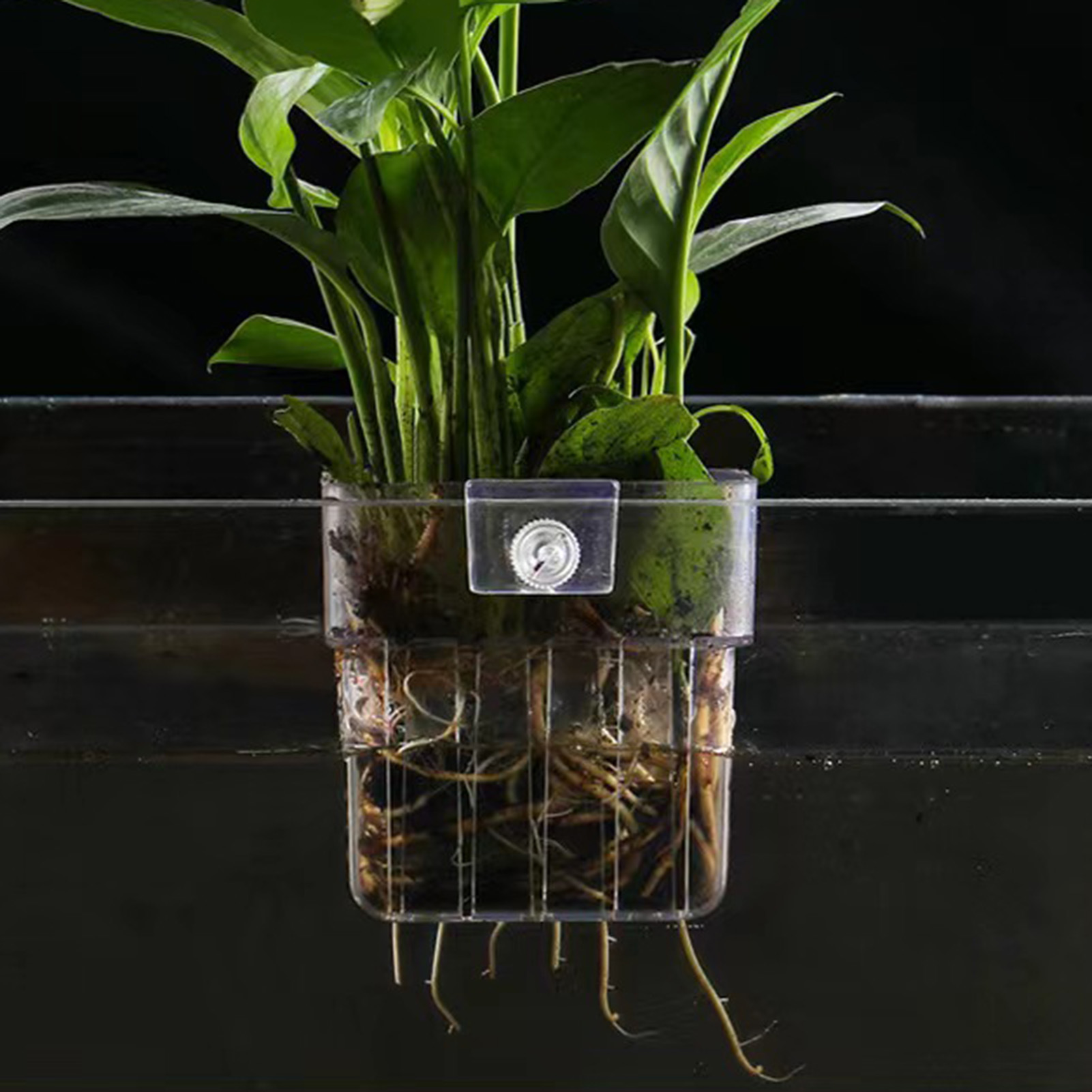 Şeffaf Akrilik Bitki Tutucu, B - Aquarium Plant Holder incelemesi ve fiyatı