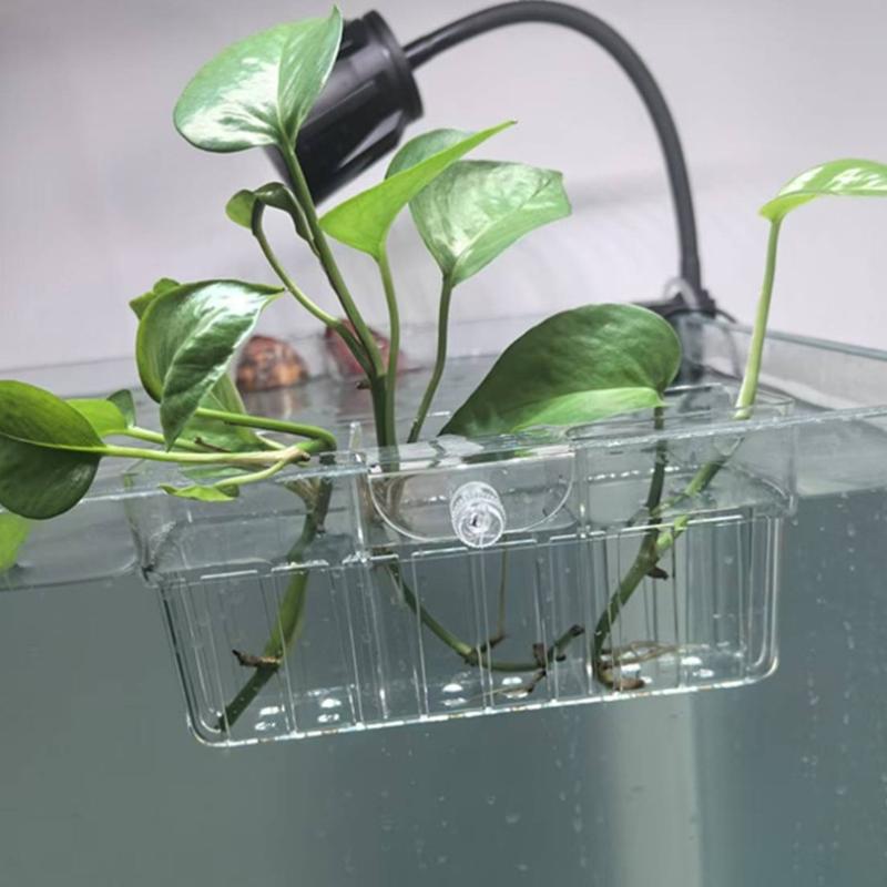 Hidroponik Bitki Sepeti Gıda S - Aquarium Plant Holder incelemesi ve fiyatı