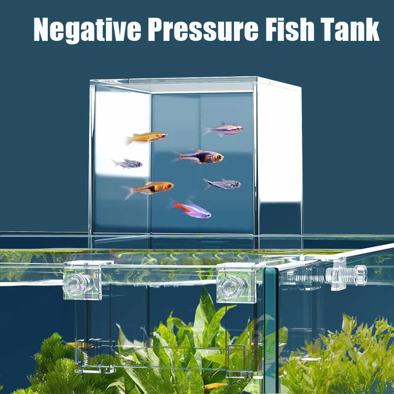 Yaratıcı akvaryum tankları neg - Plant Aquarium Pot incelemesi ve fiyatı