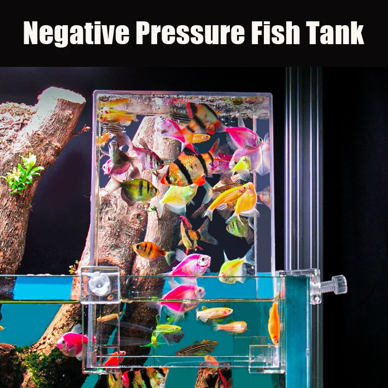 Yaratıcı akvaryum tankları neg - Plant Aquarium Pot incelemesi ve fiyatı