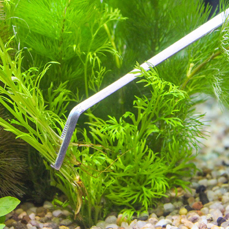 Profesyonel Akvaryum Bakım Ale - Live Plant Aquarium incelemesi ve fiyatı