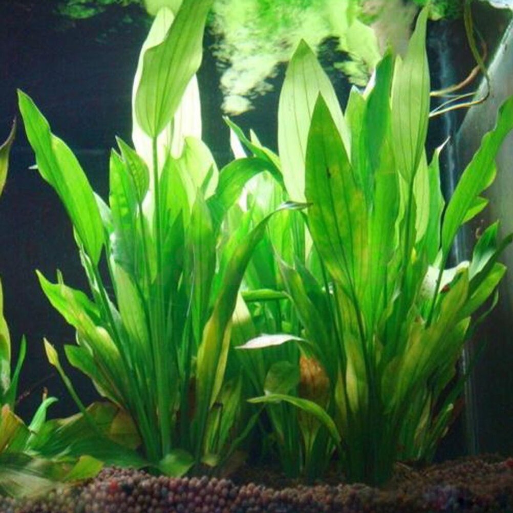 15 cm Yapay Akvaryum Dekor Bit - Live Plant Aquarium incelemesi ve fiyatı