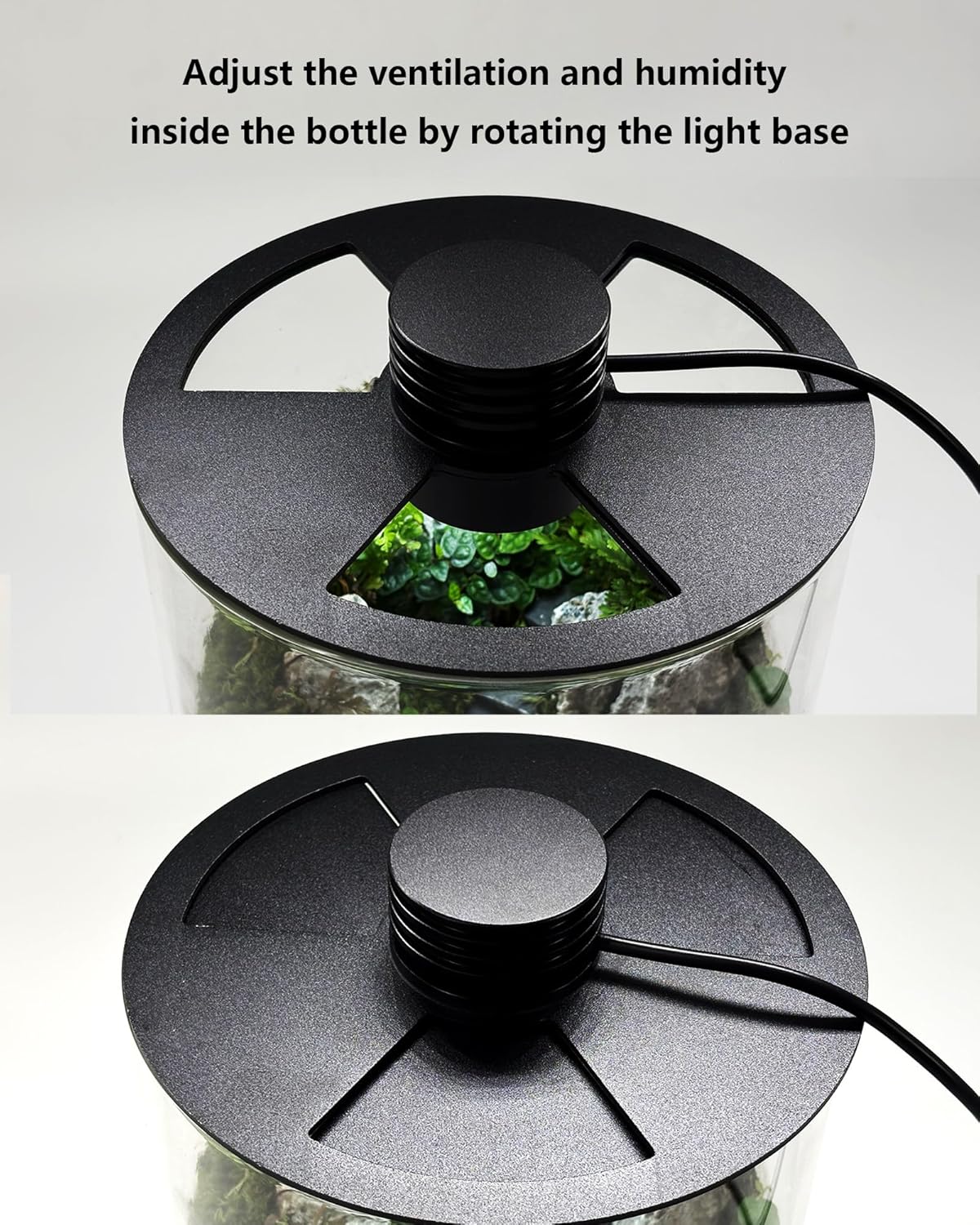 İç Mekan Cam Teraryumu, Büyütm - Planted Tank incelemesi ve fiyatı