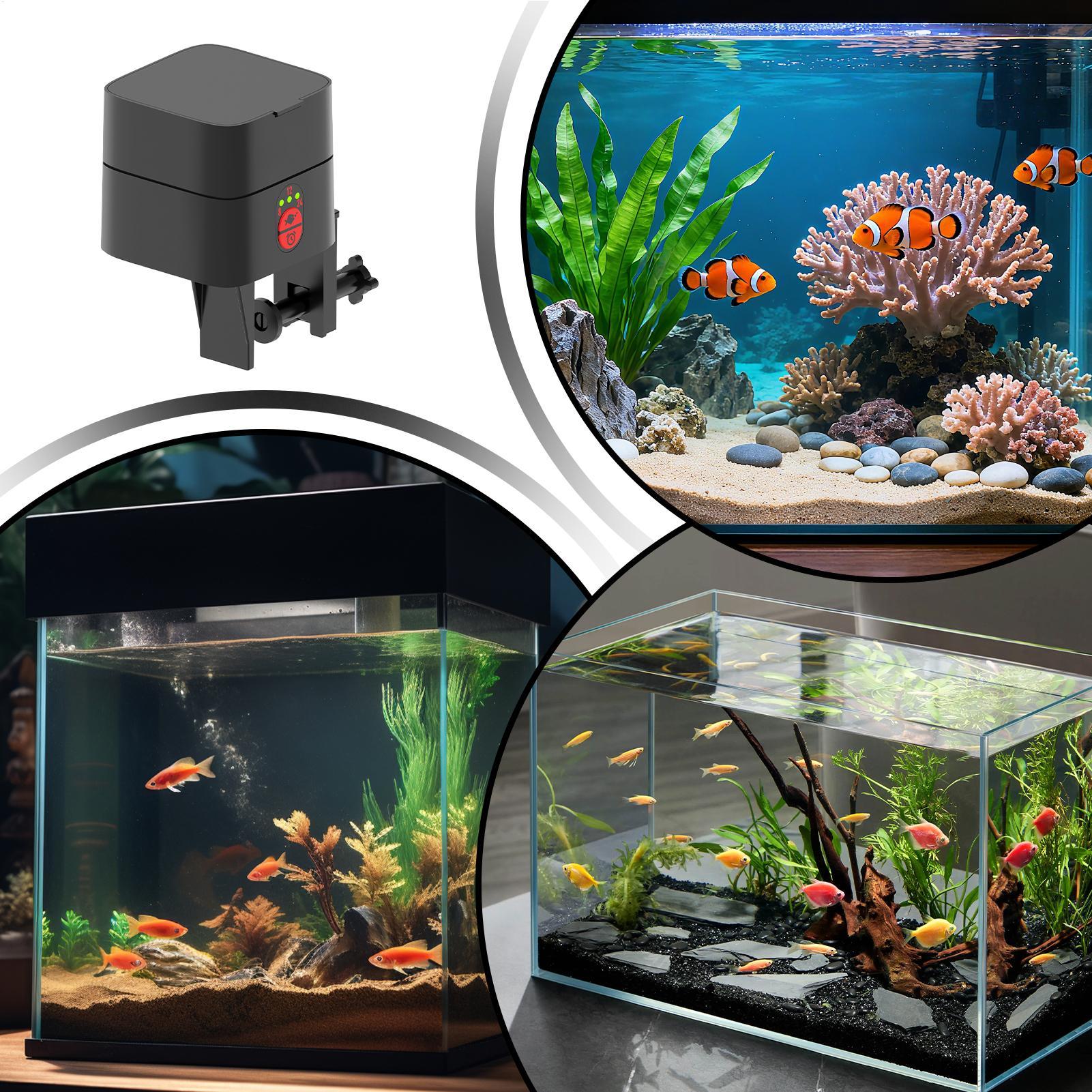 Akvaryum için Otomatik Balık B - Aquarium Fertilizer incelemesi ve fiyatı
