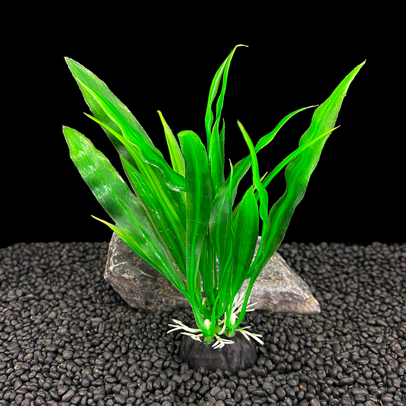 6 adet Paketleri Akvaryum Bitk - Live Plant Aquarium incelemesi ve fiyatı